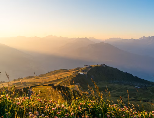 Bergpanorama im Zillertal bei Sonnenaufgang mit blühenden Almwiesen im Vordergrund und fernen Gipfeln im Dunst