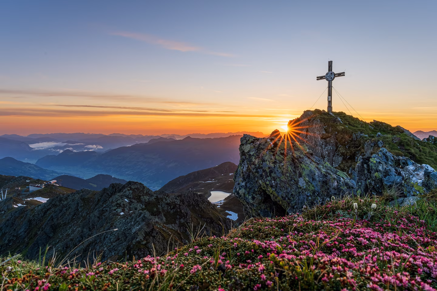 Gipfelkreuz am Marchkopf im Zillertal bei Sonnenaufgang mit blühenden Alpenrosen und Bergpanorama im Vordergrund